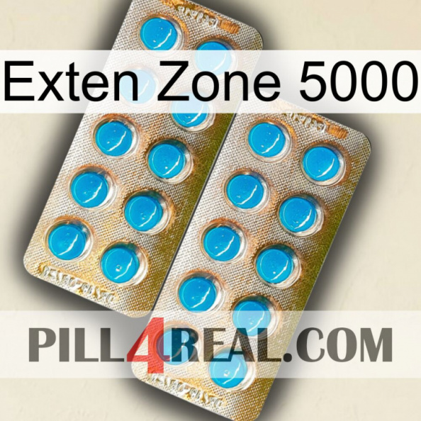 Exten Zone 5000 new08.jpg